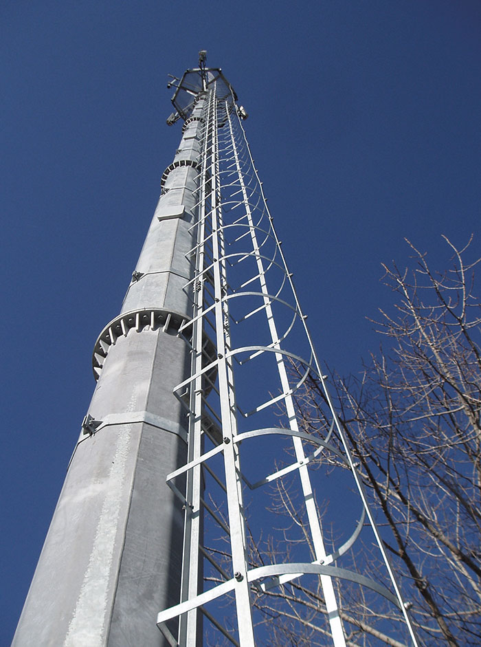 Protection Ladder Projector Poles